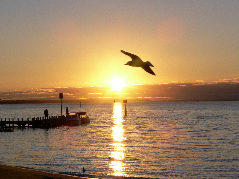 p1080677_crop