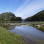 P1020627