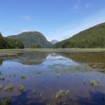 P1020674