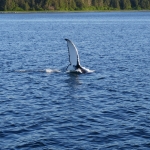 P1020833