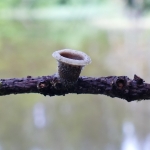 P1030147