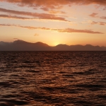 P1030264