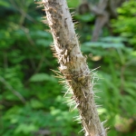 P1030357