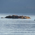 P1030391