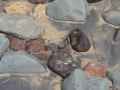 p1000190