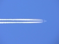 p1010361