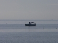 p1030318