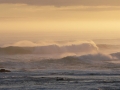 p1030432_crop1