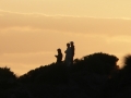 p1030435_crop
