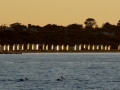 p1080675_crop