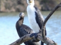 p1080696_crop