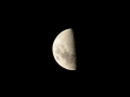 p1100056_crop
