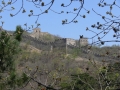 p1110387